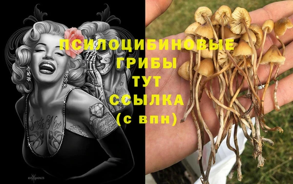 PSILOCYBIN Дмитриев
