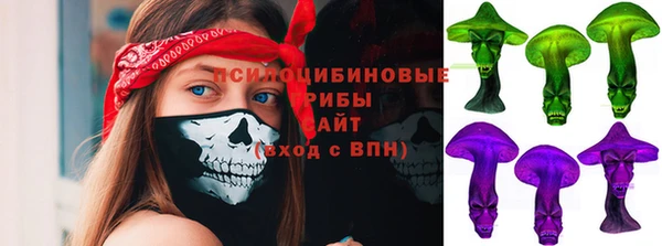 PSILOCYBIN Дмитриев