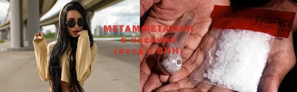 PSILOCYBIN Дмитриев