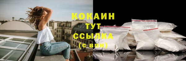 PSILOCYBIN Дмитриев