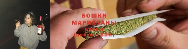 PSILOCYBIN Дмитриев