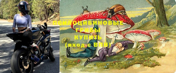 PSILOCYBIN Дмитриев