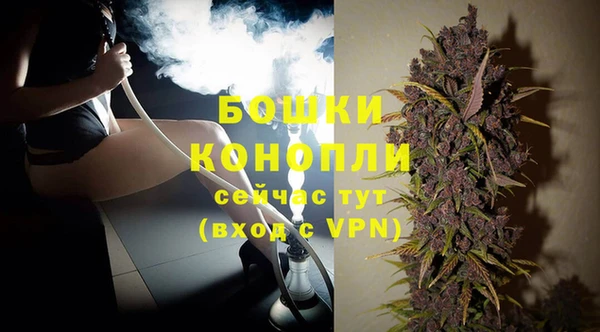 PSILOCYBIN Дмитриев