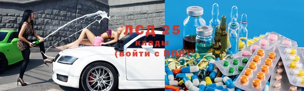 PSILOCYBIN Дмитриев
