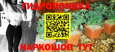 кокс Нальчик