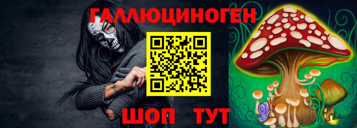 Псилоцибиновые грибы MAGIC MUSHROOMS  Вход с VPN  Тайшет 