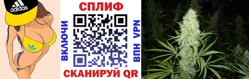 Марихуана план блэк спрут ссылки Тайшет
